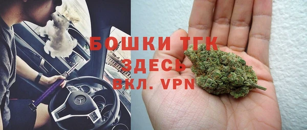 мдпв Инта