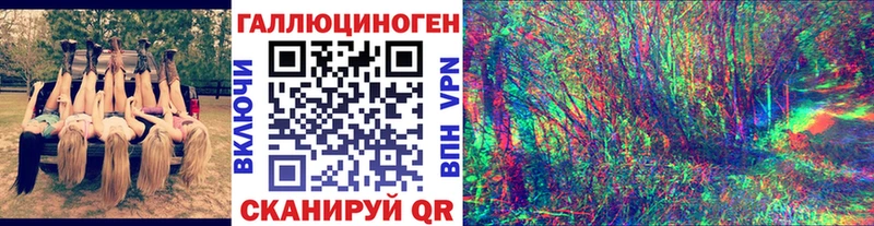 Псилоцибиновые грибы Cubensis  Купить где  Суздаль 